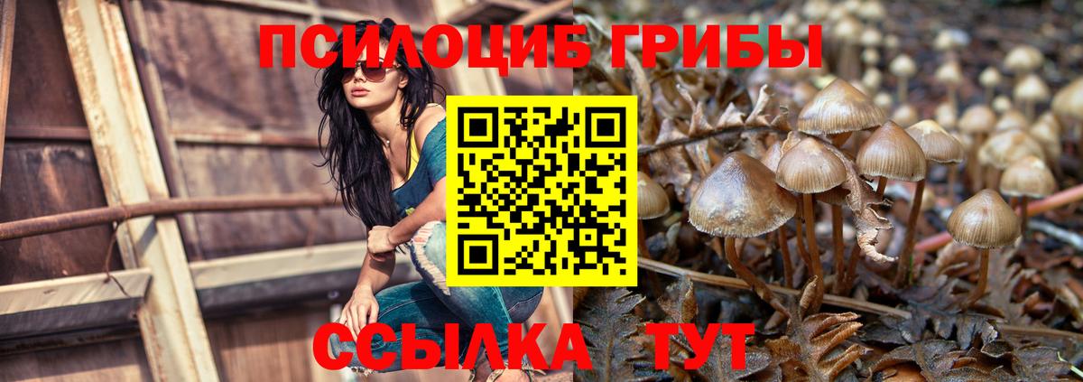 Галлюциногенные грибы MAGIC MUSHROOMS Ишимбай